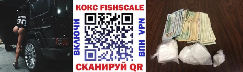 Кокаин FishScale  где купить   Каспийск 