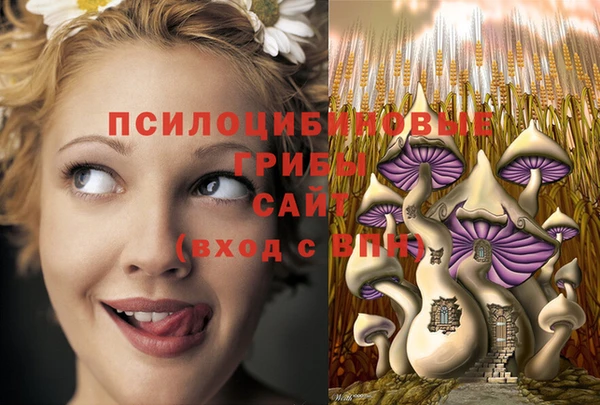 apvp Балахна