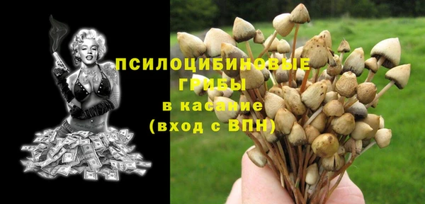 apvp Балахна